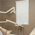 The Smile Design Lutz Dental Chair